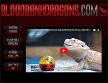 Tablet Screenshot of bloodbankdragons.com